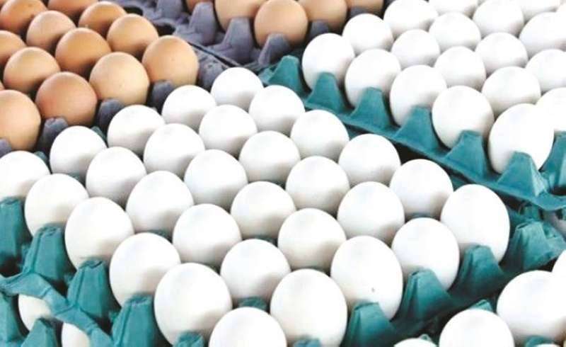 «التجارة» تحظر تصدير البيض حتى مايو 2023