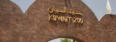 كل ما تحتاج معرفته عن حديقة الحيوان الكويت